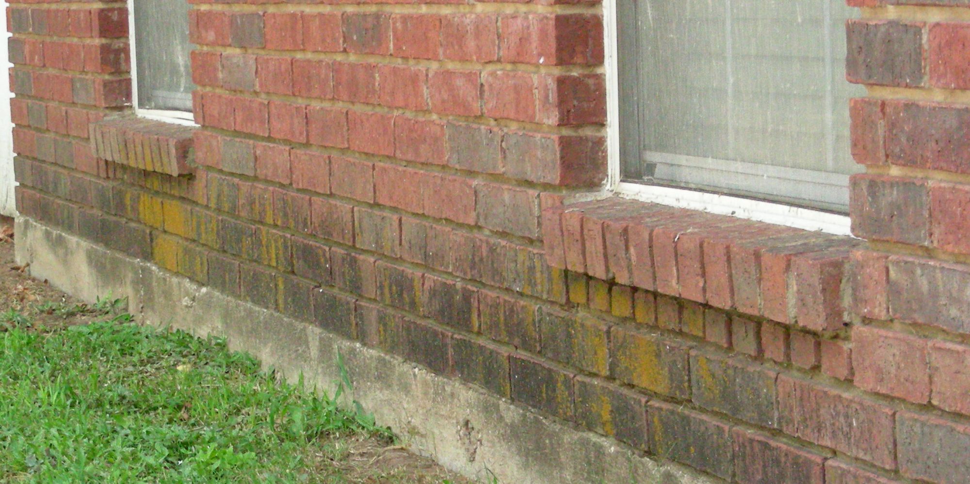 This brick wall needs some careful spray washing to remove stains. Splash back from rain can cause stains and algae growth on brick. It can be quite unsightly.